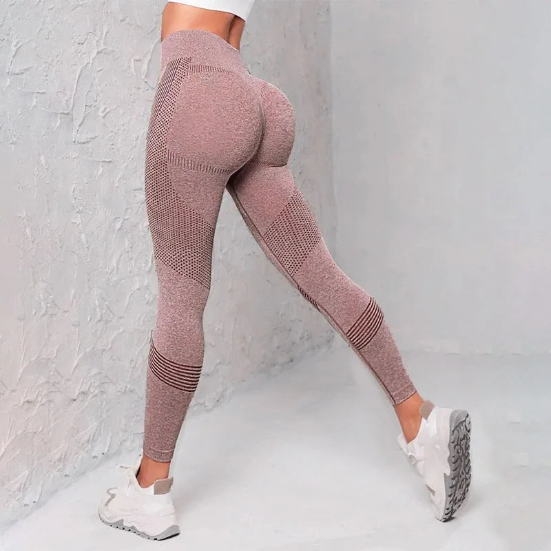 S186759a69c84471eb0e448a8d1aa3493k