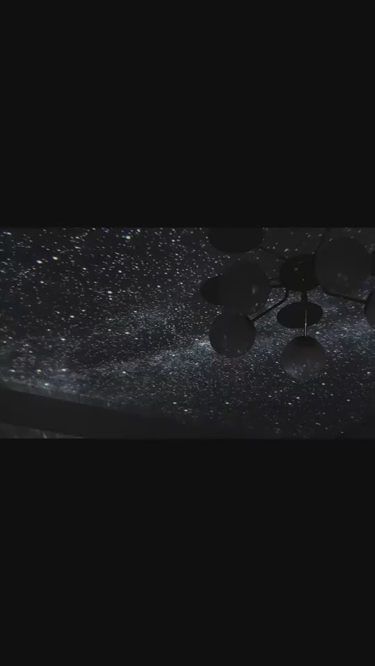 1.mp4